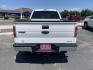 2012 White /Grey Ford F-150 XLT (1FTMF1EF8CF) with an 5.0L V8 OHV 16V engine, 6-Speed Automatic transmission, located at 813 E Fairview Ave, Meridian , ID, 83642, (208) 336-8230, 43.618851, -116.384010 - Photo#4