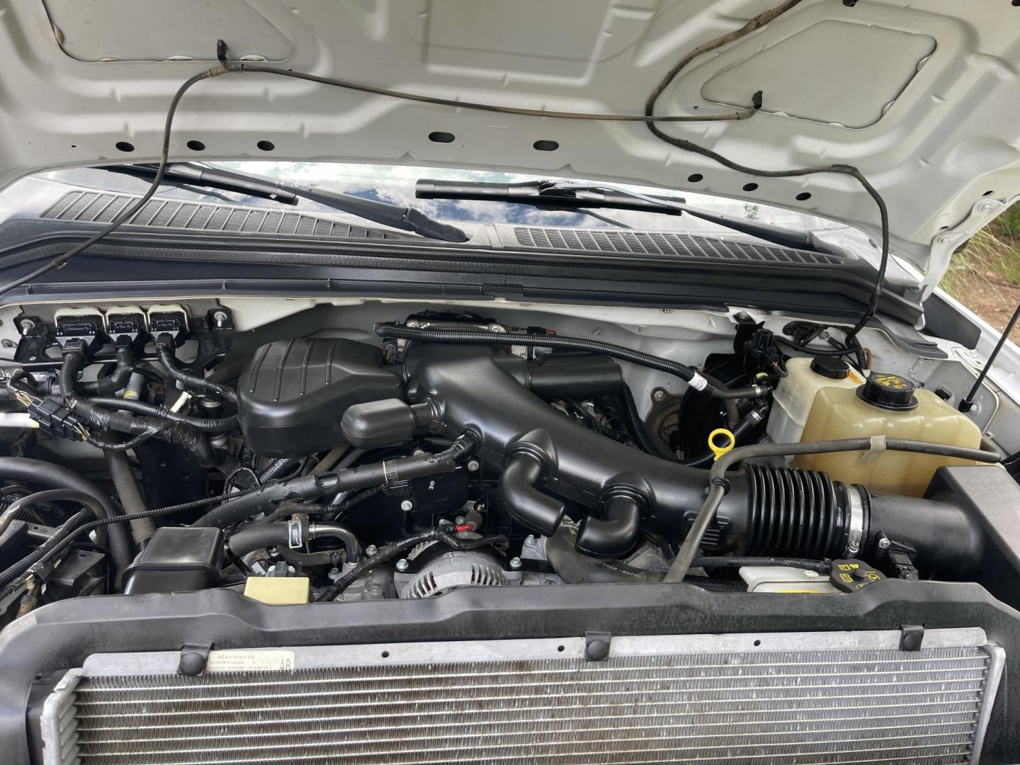 2008 White / Grey Ford F-350 SD XL 4WD (1FTSF31Y68E) with an 6.8L V10 SOHC 30V engine, 6spd Manual transmission, located at 813 E Fairview Ave, Meridian , ID, 83642, (208) 336-8230, 43.618851, -116.384010 - 2008 Ford F350 Regular Cab 4x4 XL 6spd Manual transmission. A very unique truck if you need a really good stick shift truck this is the one. Runs and drives excelelnt.- Photo#15