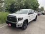 2020 White /Black Toyota Tundra SR5 5.7L V8 CrewMax 4WD (5TFDY5F17LX) with an 5.7L V8 DOHC 32V engine, 6A transmission, located at 813 E Fairview Ave, Meridian , ID, 83642, (208) 336-8230, 43.618851, -116.384010 - 2020 Toyota Tundra Crew Max SR5 TRD with only 54k miles. Come get the best Tundra on the market, very clean, ready to go. If you want a Toyota this is the one to have.- Photo#1
