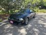 2014 Black /Black Ford Mustang V6 Coupe (1ZVBP8AM0E5) with an 3.7L V6 DOHC 24V engine, AT transmission, located at 813 E Fairview Ave, Meridian , ID, 83642, (208) 336-8230, 43.618851, -116.384010 - 2014 Ford Mustang Premium, V6, Leather, if you want a super nice good sports car for not a lot of money come take a look.- Photo#1